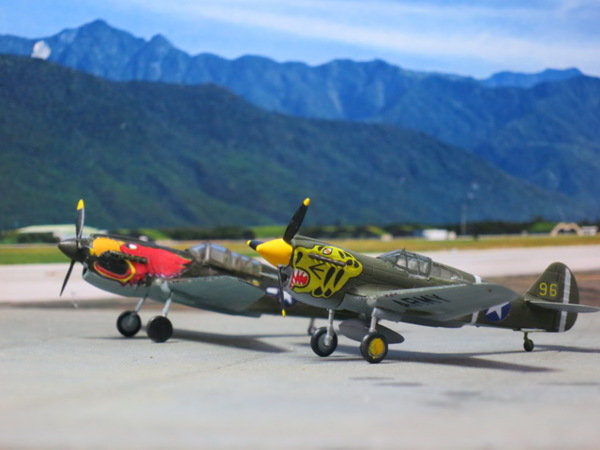 [F-TOYS] 1/144 - Curtiss P-40E/P-40N Warhawk F_9089688_1