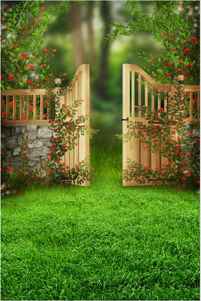 Astrazione... - Pagina 26 8x12FT-Green-font-b-Garden-b-font-font-b-Flowers-b-font-Branch-font-b-Gate