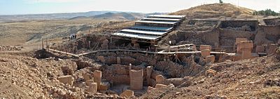  World’s oldest temple built to worship the dog star Wed, August 21, 2013 G%C3%B6bekli_Tepe