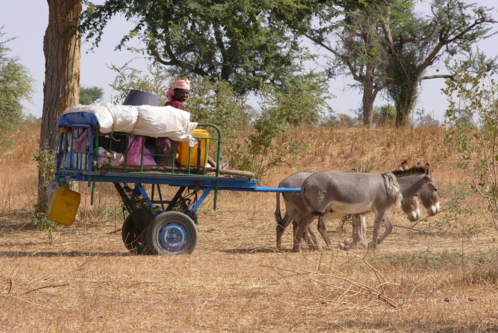 Senegal P176