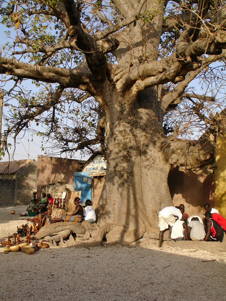 Senegal Senegal616