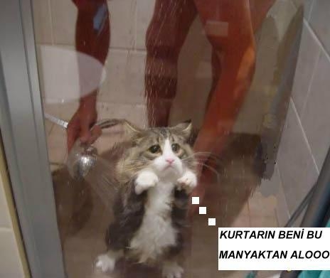 bu resimlere baylcaksnz Cute-sad-kitten-shower-pic114