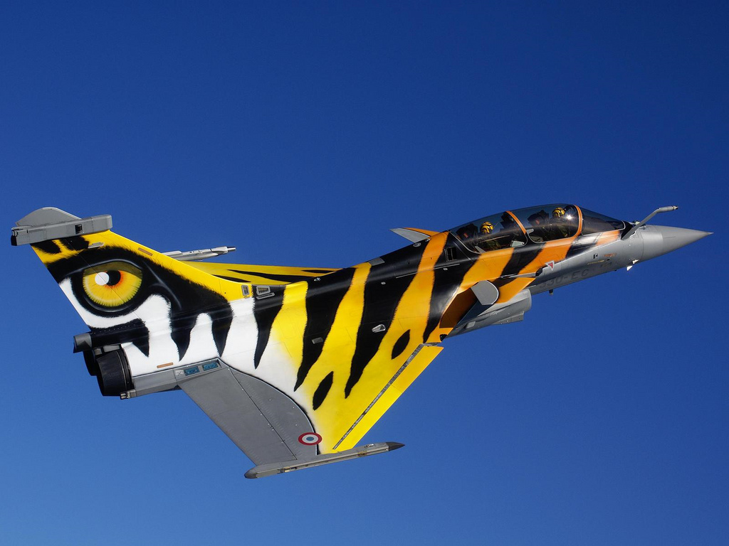 Rafale de Freddy Tiger-meet_213566