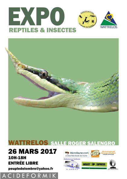 EXPO reptiles et insectes  20170312134930-f7a777a0-me