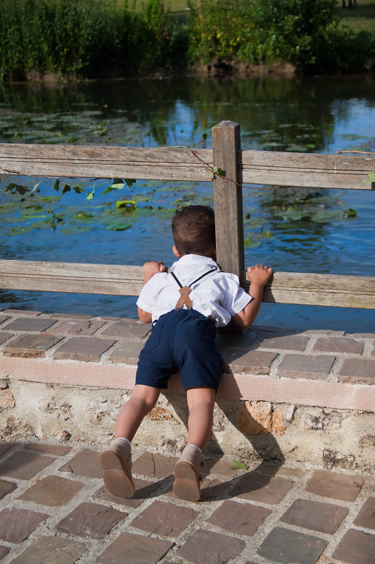 Sont ou les petits poissons ? 2016051410433753