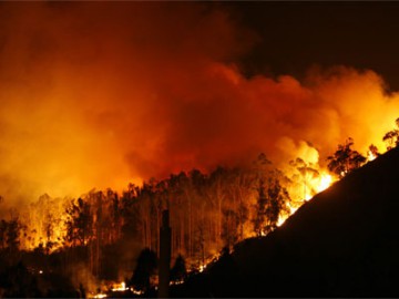Desolación en el Parque Natural "Fragas do Eume" Incendio_FragasEume_noite-360x270