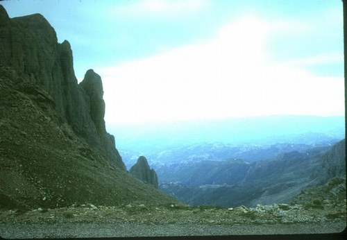 جمال بلادي*الجزائر* Algeria