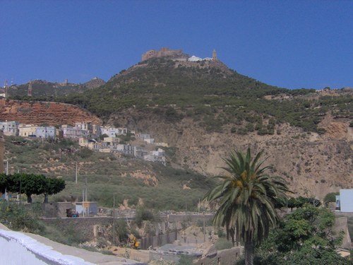 جمال بلادي*الجزائر* Oran