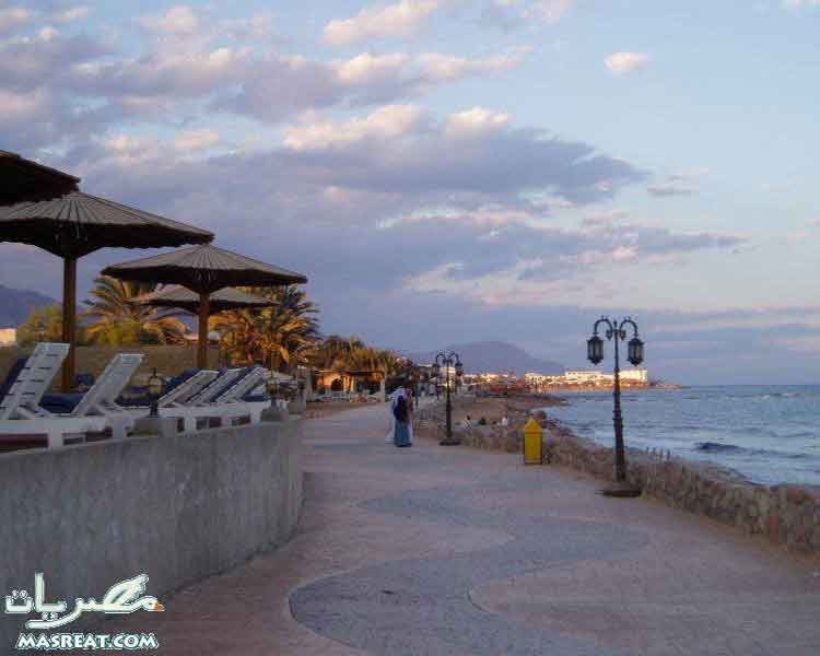 شبه جزيرة سيناء .. اكثر من مجرد صحراء  Sinai_dahab14