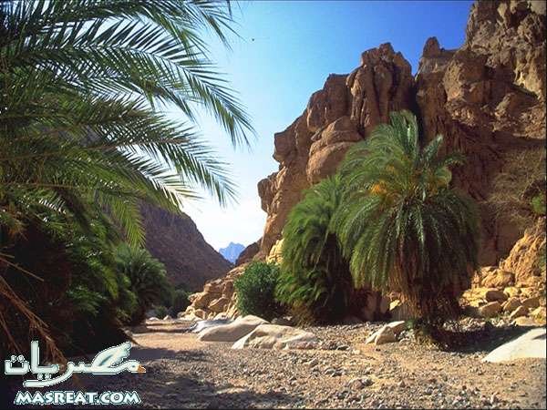جمال وروعة شبه جزيرة سيناء الغد المشرق Southsinai54