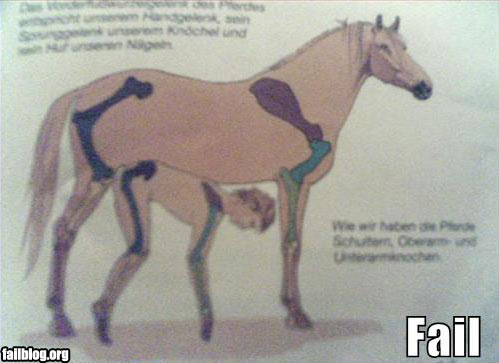 HUMOR HUMOR Y MAS HUMOR.... Fail-owned-anatomy-book-fail