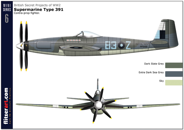 [jeux] quel est cet avion? - Page 20 16SM391_