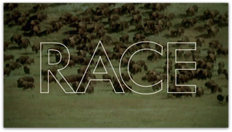 THE RACE