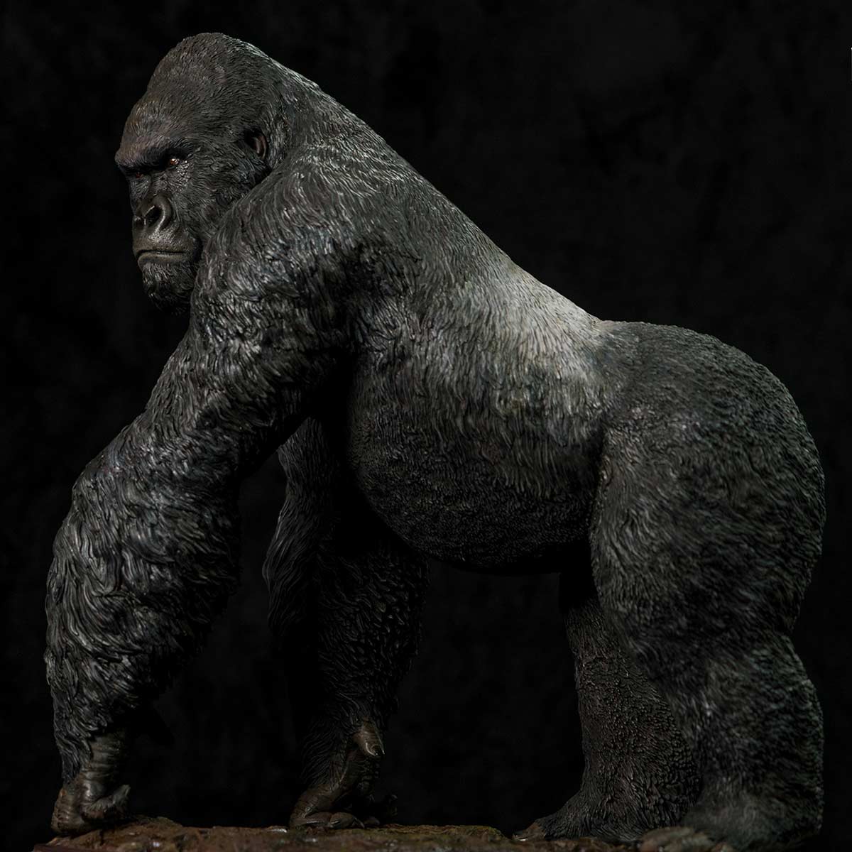 Museum Series - Gorilla beringei beringei - Infinity Studio Gorilla-beringei-beringei-3