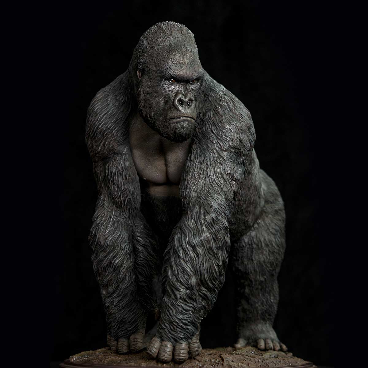 Museum Series - Gorilla beringei beringei - Infinity Studio Gorilla-beringei-beringei-5