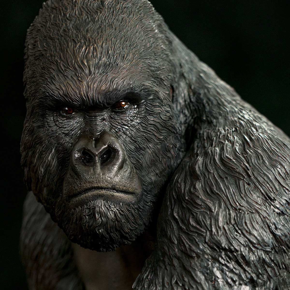 Museum Series - Gorilla beringei beringei - Infinity Studio Gorilla-beringei-beringei-7