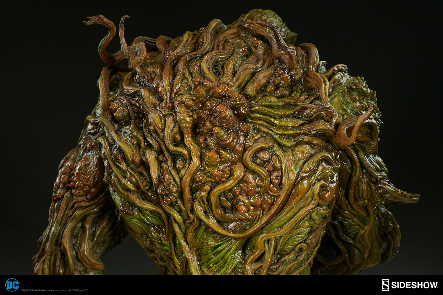 SWAMP THING Maquette 300654_press13