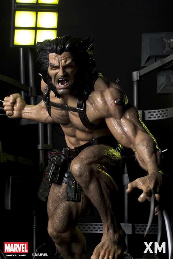 Premium Collectibles : Weapon X XM-weapon-x-premium-06