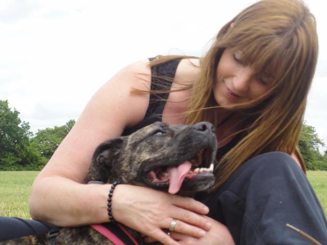 NEW THREAD STARTED WITH NEW AD - PLEASE CLOSE - Cassie, Staffie X, DOB Apr 08 - Hertford DSC02107