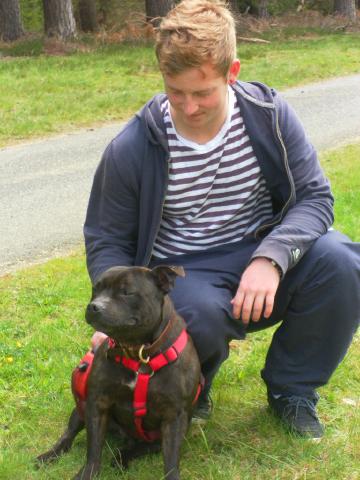 HOMED - Reg, Staffie, DOB 04.09 – Farnham, Surrey SAM_0063