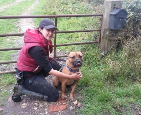 Snoopy, Crossbreed, DOB 2009 – Godstone, Surrey Snoopy78