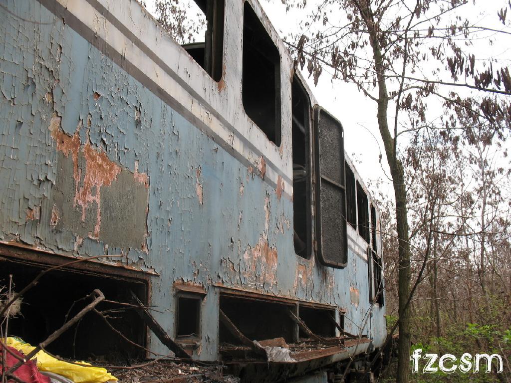 Locomotive părăsite IMG_6514