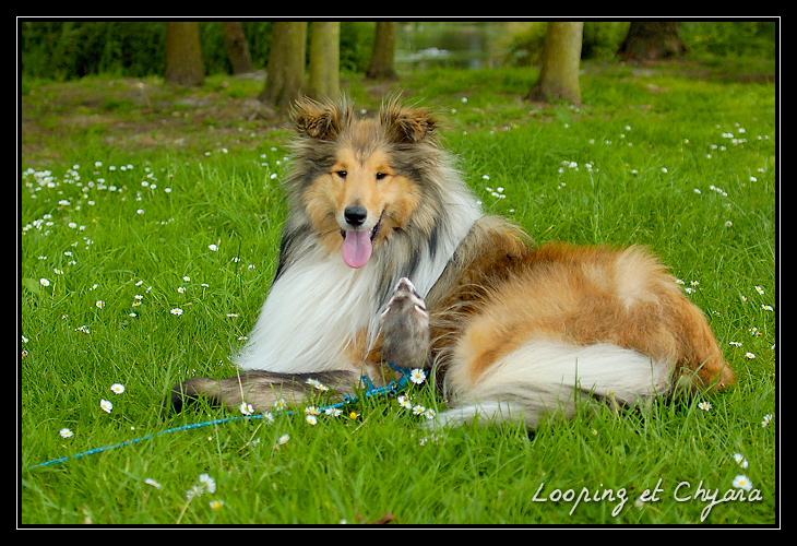 chyara et les poilus! _DSC5010