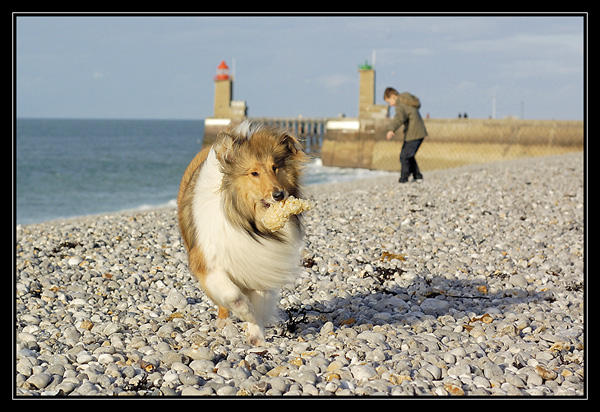 fécamp le 2 fevrier 2008 _DSC3222