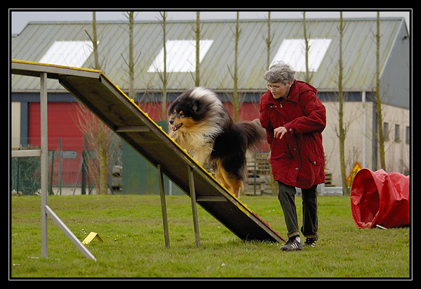 agility - Chyara 1er cours d'agility!! _DSC2800