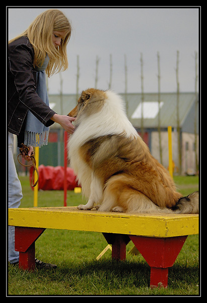 Chyara 1er cours d'agility!! _DSC2816