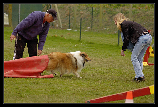 agility - Chyara 1er cours d'agility!! _DSC2826