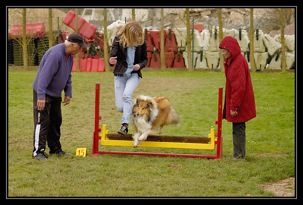 agility - Chyara 1er cours d'agility!! _DSC2840