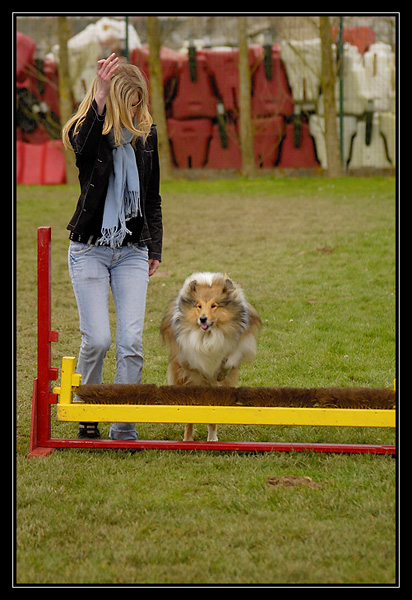 Chyara 1er cours d'agility!! _DSC2842