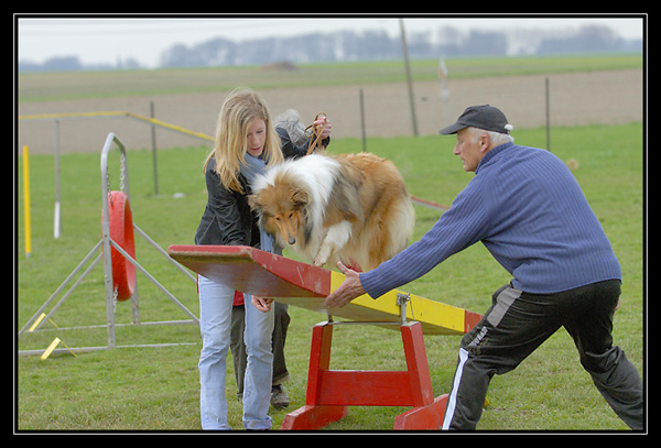 Chyara 1er cours d'agility!! _DSC4200