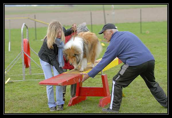 Chyara 1er cours d'agility!! _DSC4202