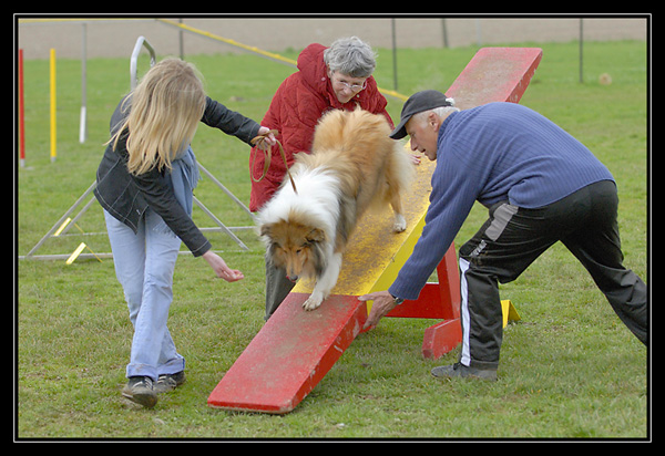 Chyara 1er cours d'agility!! _DSC4203