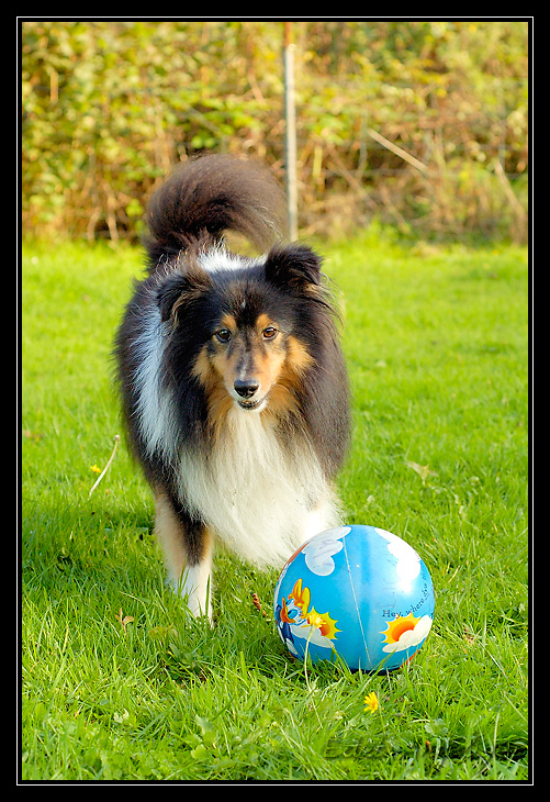 ptit cours avec Chyara ( les trop belles photos d'Angel ) _DSC0678