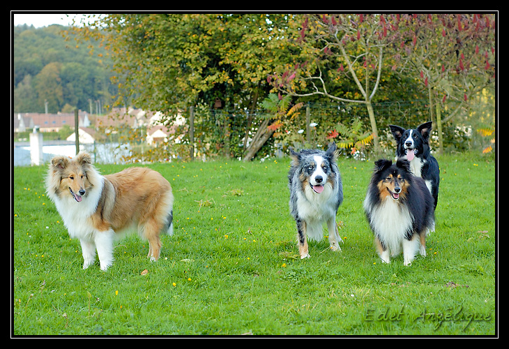 photos - ptit cours avec Chyara ( les trop belles photos d'Angel ) _DSC0691