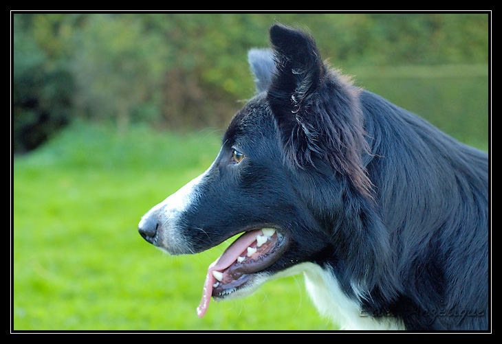 ptit cours avec Chyara ( les trop belles photos d'Angel ) _DSC0700