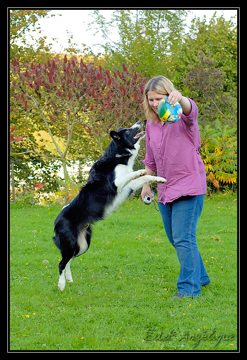 photos - ptit cours avec Chyara ( les trop belles photos d'Angel ) _DSC0703