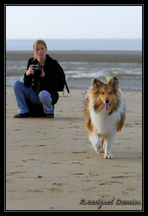 balade sur la plage de pennedepie _DSC3742