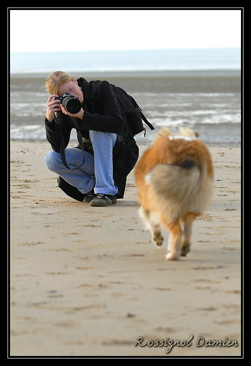 balade sur la plage de pennedepie _DSC3749