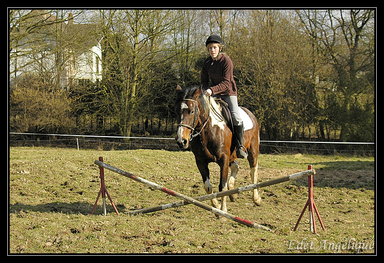 notre 1ere seance d'obstacle _DSC9081