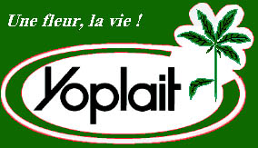 Coupe de L' UEFA 2008/2009 - Page 3 Yoplait