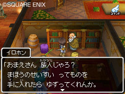 Dragon Quest IX Dqix06