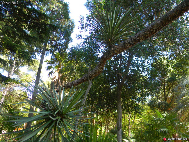 Vieilles propriétés et vieux jardins méditerranéns  - Page 2 GBPIX_photo_753612