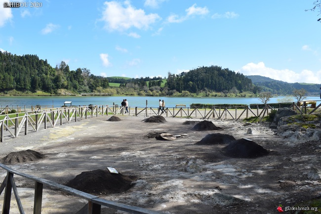 Portugal - Archipel des Açores - Ilha de São Miguel - Page 2 GBPIX_photo_823376