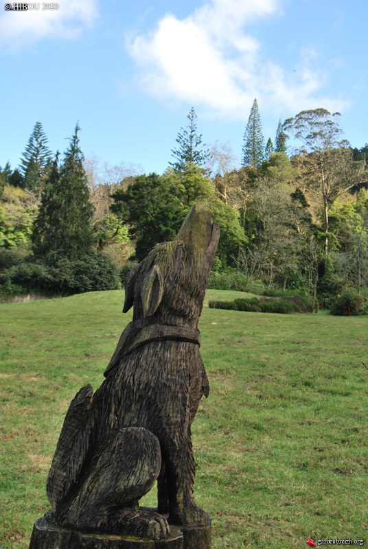 Portugal - Archipel des Açores - Ilha de São Miguel - Page 3 GBPIX_photo_825705