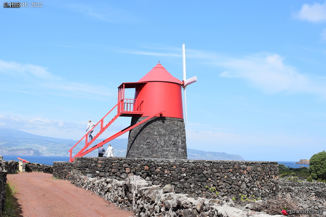 Portugal - Archipel des Açores - Ilha do Pico GBPIX_photo_861768