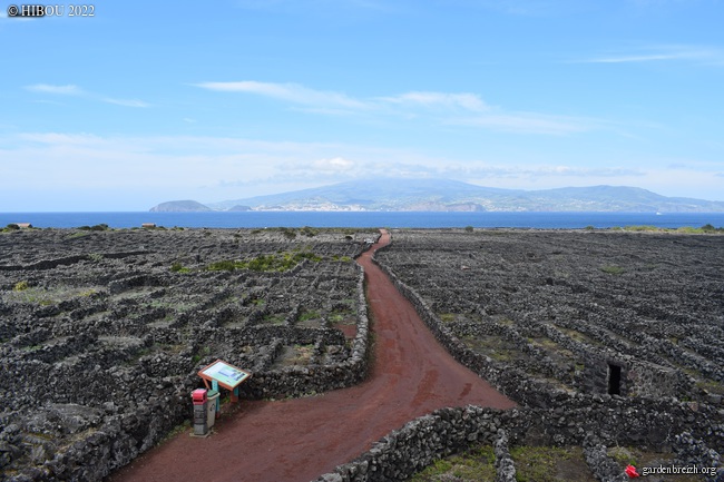 Portugal - Archipel des Açores - Ilha do Pico GBPIX_photo_861771